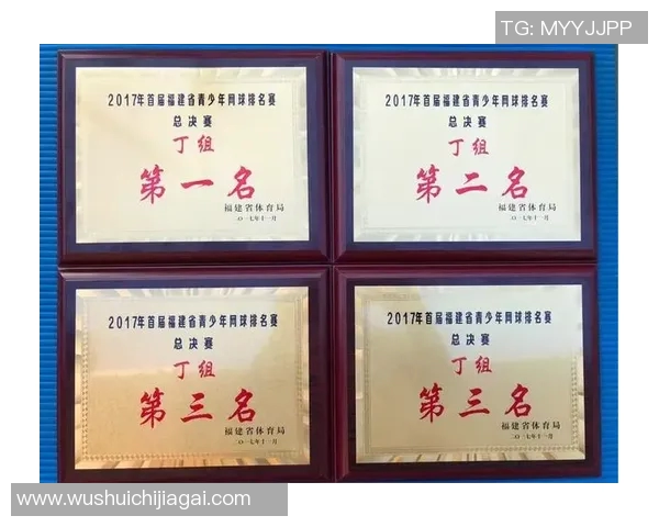 杭州网球队与南京网球队赛后复盘探讨灵活性对比赛结果的影响