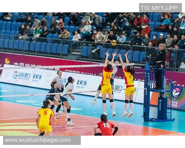 排球耐力榜单揭晓北京排球队荣登第一名引发热议