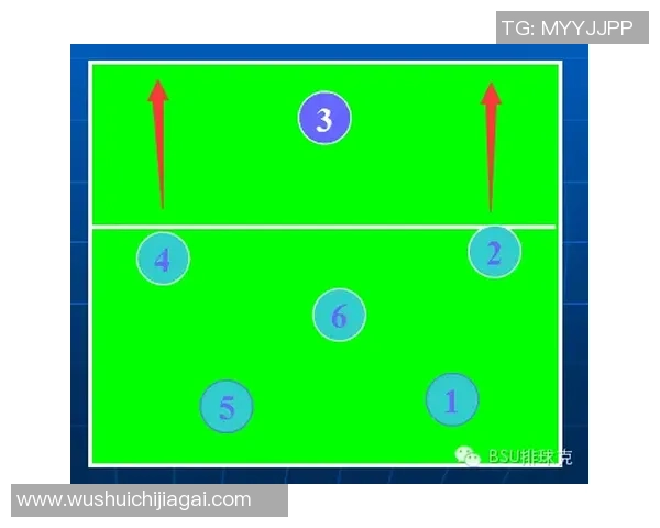 杭州排球队战术解析：从技术细节到团队协作的全面探讨