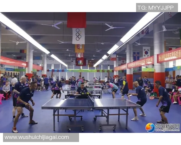 深入分析成都乒乓球队区域防守战术的特点与应用策略